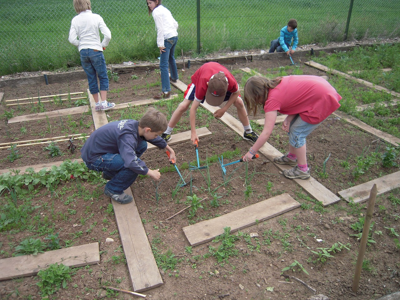 Study Shows School Gardens Help to Prevent Nutritional Deficiencies in Children