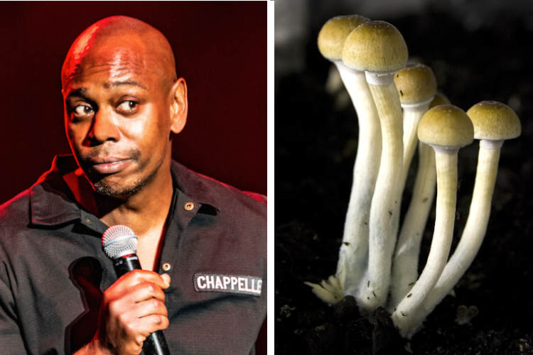 Comedian Dave Chappelle is a Huge Fan of Magic Mushrooms
