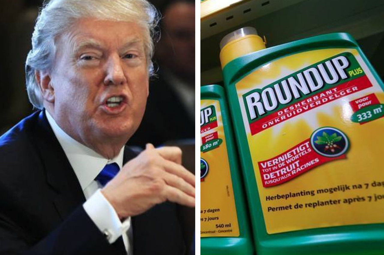The Trump Administration Wants to Reverse Round-Up Verdict, Protecting Bayer and Monsanto