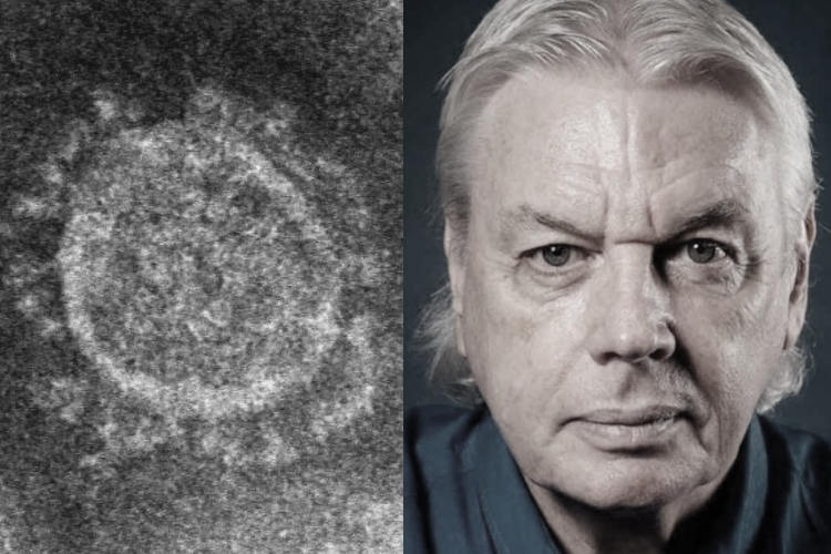 David Icke Explains How the Elite are Using Coronavirus to Reshape the Global Economy