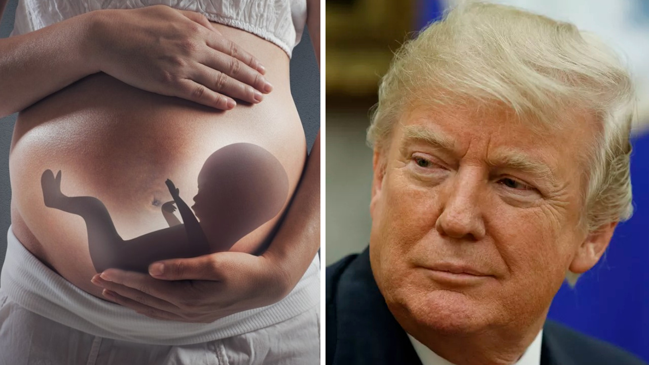 Trump Stopped the FDA from Trafficking Aborted Fetal Tissue for “Humanized Mice,” Documents Reveal