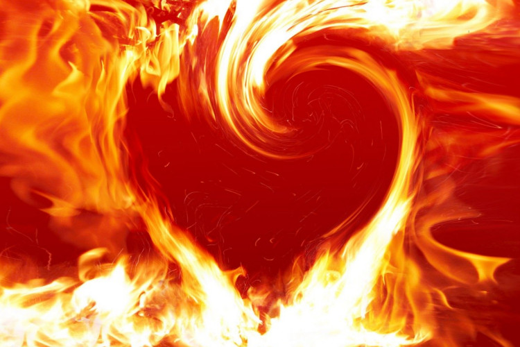 When You Follow Your Heart, Love Wins