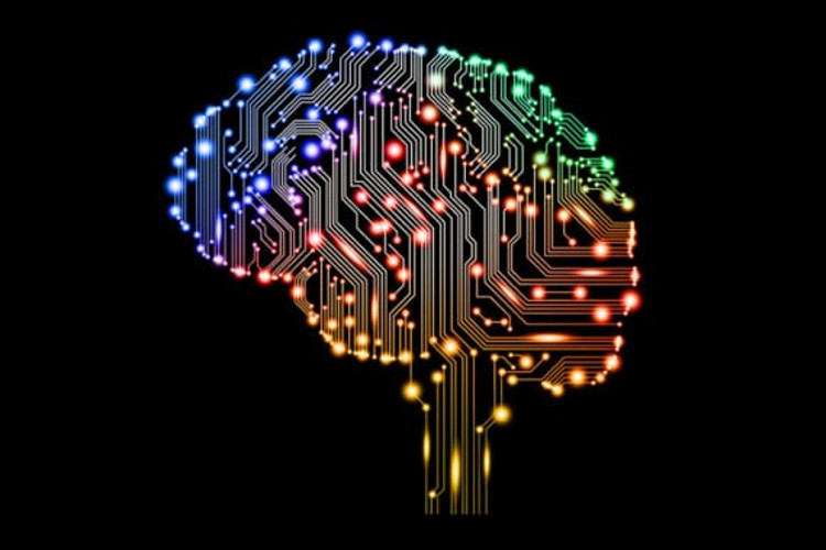 The 9 Types of Intelligence Which Make Us All Human