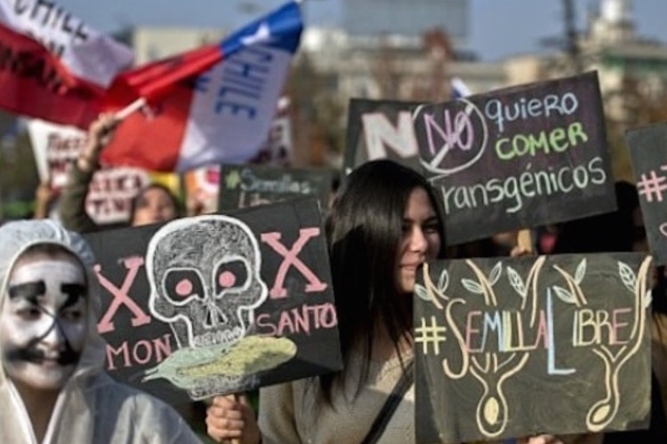 Argentinian protesters marching against GMO's