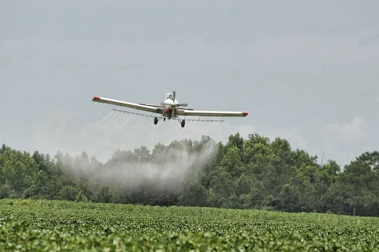 Monsanto Ordered to Pay $289 Million in Historic Glyphosate-Cancer Case