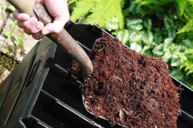 New Studies Give More Proof Organic Foods Far Superior for Health & Wellness