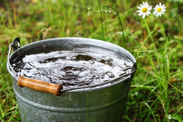 Government Criminalizing Rainwater Collection in All Out War on Self Sufficiency