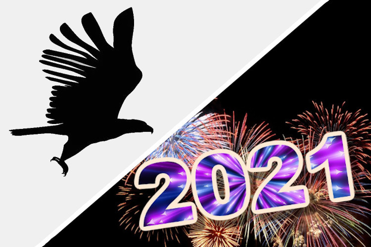 Year in Review: What to Expect From Me in 2021